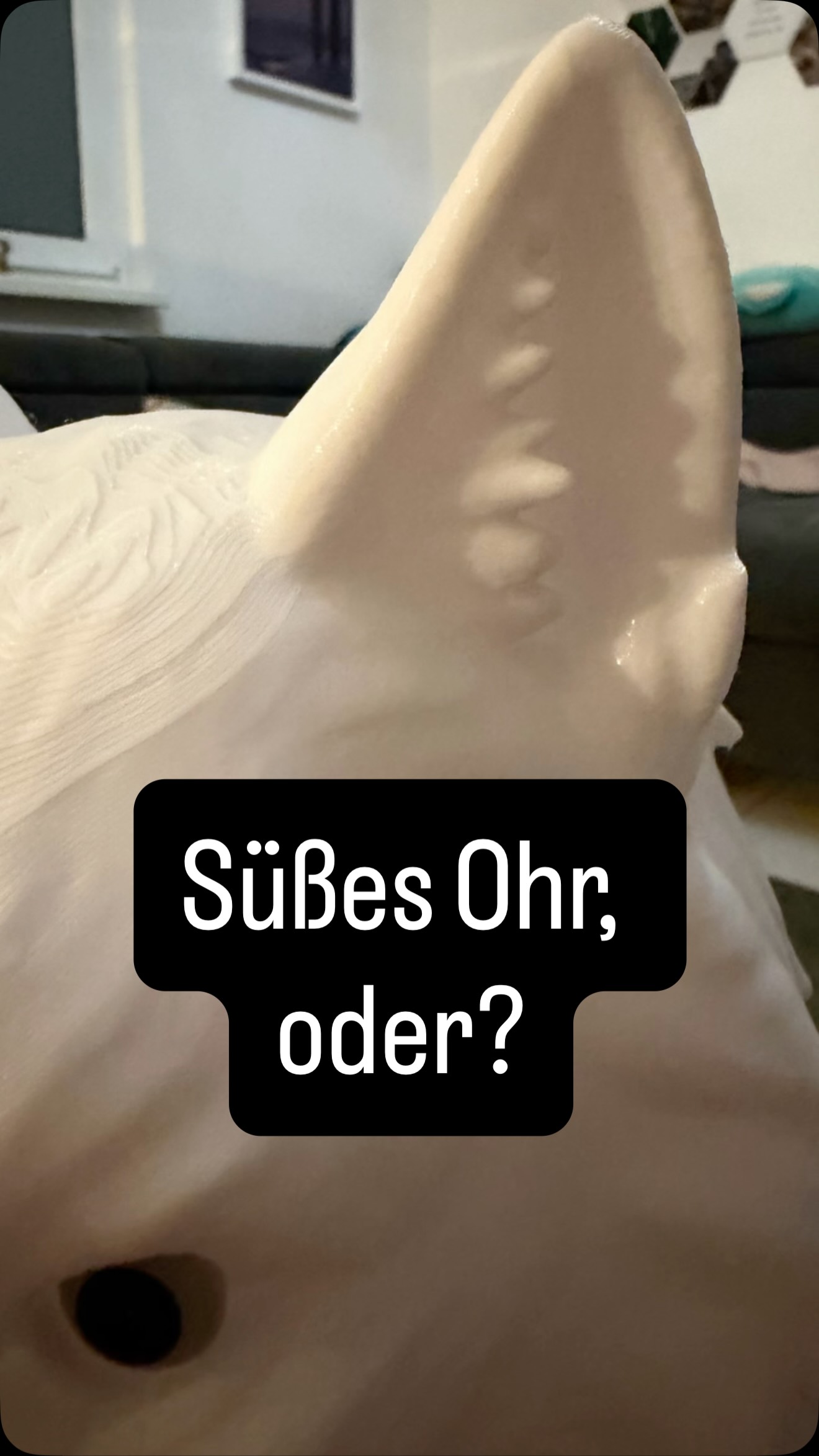 Eine meiner liebsten Followerinnen wollte einen Wolf ❤️ Erst waren es Flaschendeckel mit W…